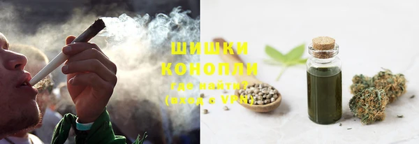 сатива Лагань