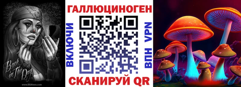 где найти наркотики  Пыталово  Псилоцибиновые грибы Psilocybe 